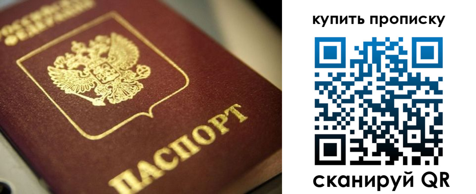прописка поиск в Краснозаводске